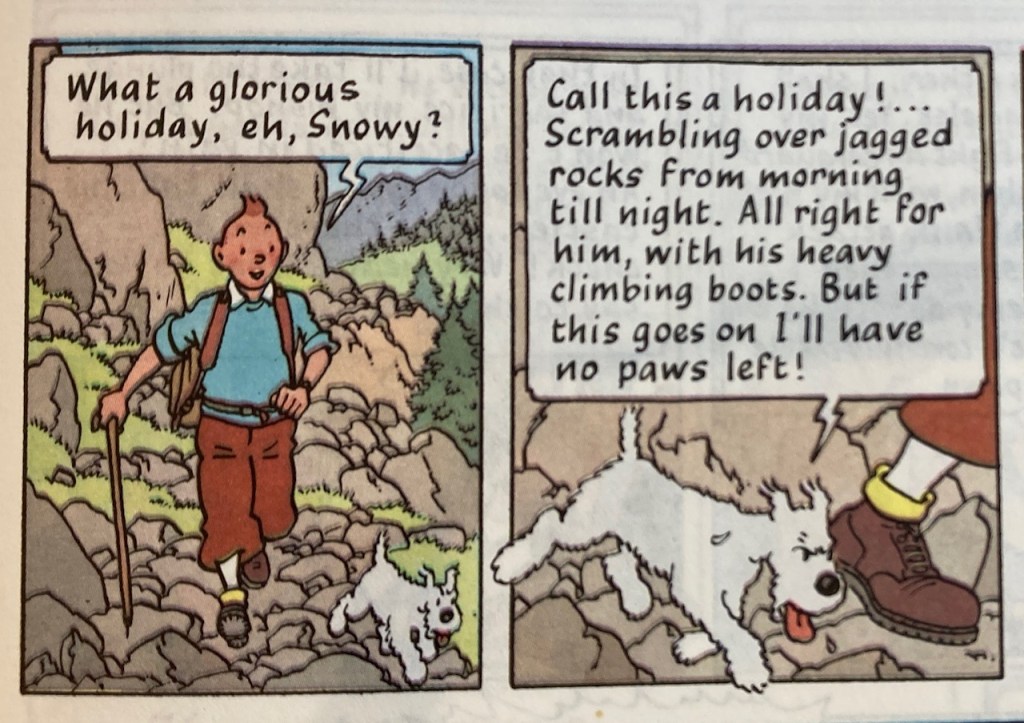 This image has an empty alt attribute; its file name is img_5626.jpg